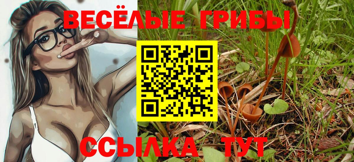 Красный Сулин  Галлюциногенные грибы MAGIC MUSHROOMS  Вход с VPN 